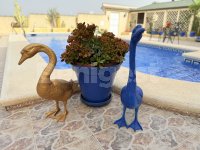 Immaculate villa with guest accomodation (26)