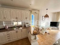Semi-Detached Villa in Benijofar (4)
