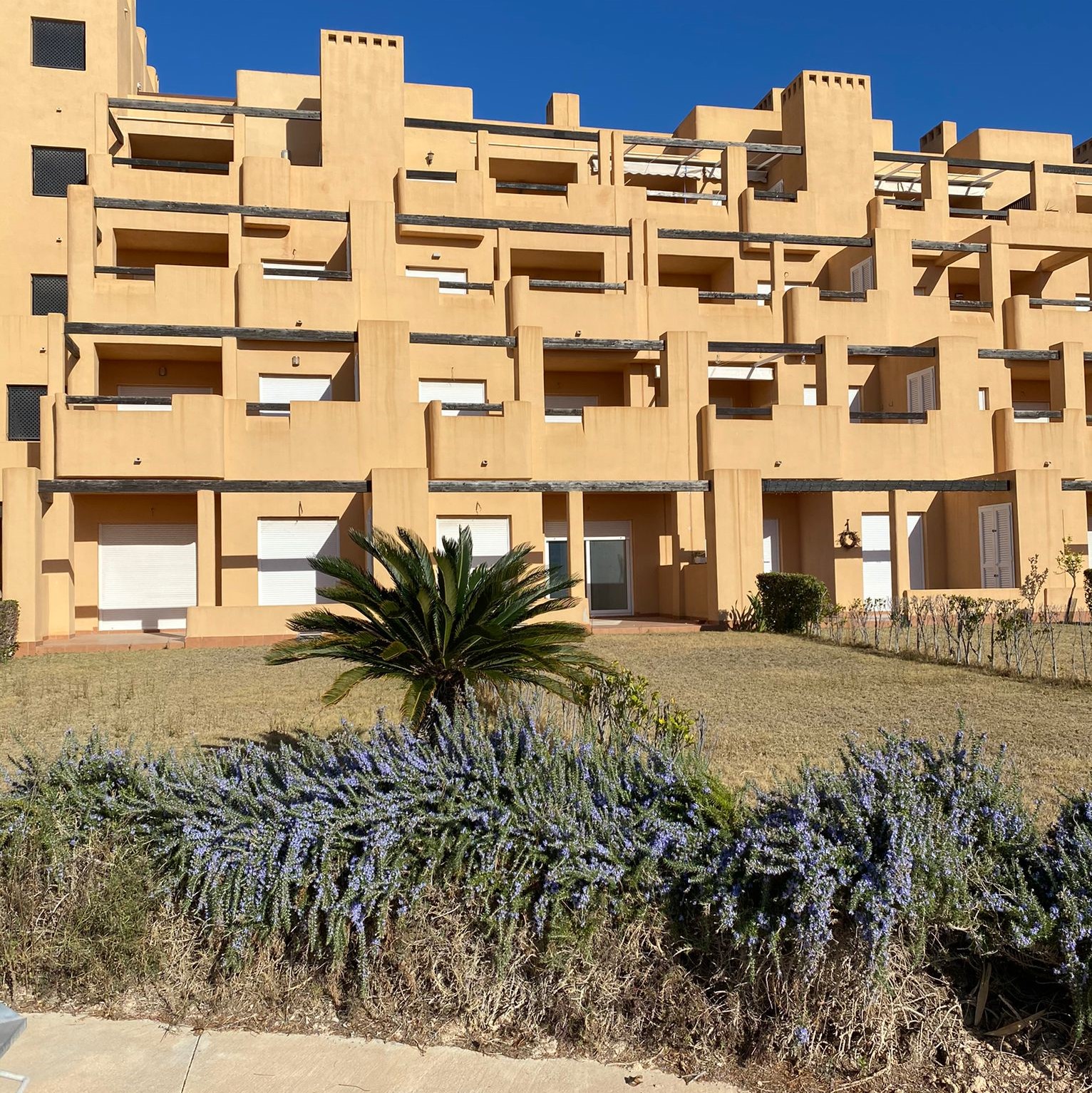 Apartment for sale in Terrazas De La Torre Golf €60,000 (CM7809)