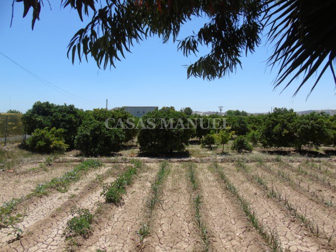 Plot for sale in Rojales €90,000 (CM7268)