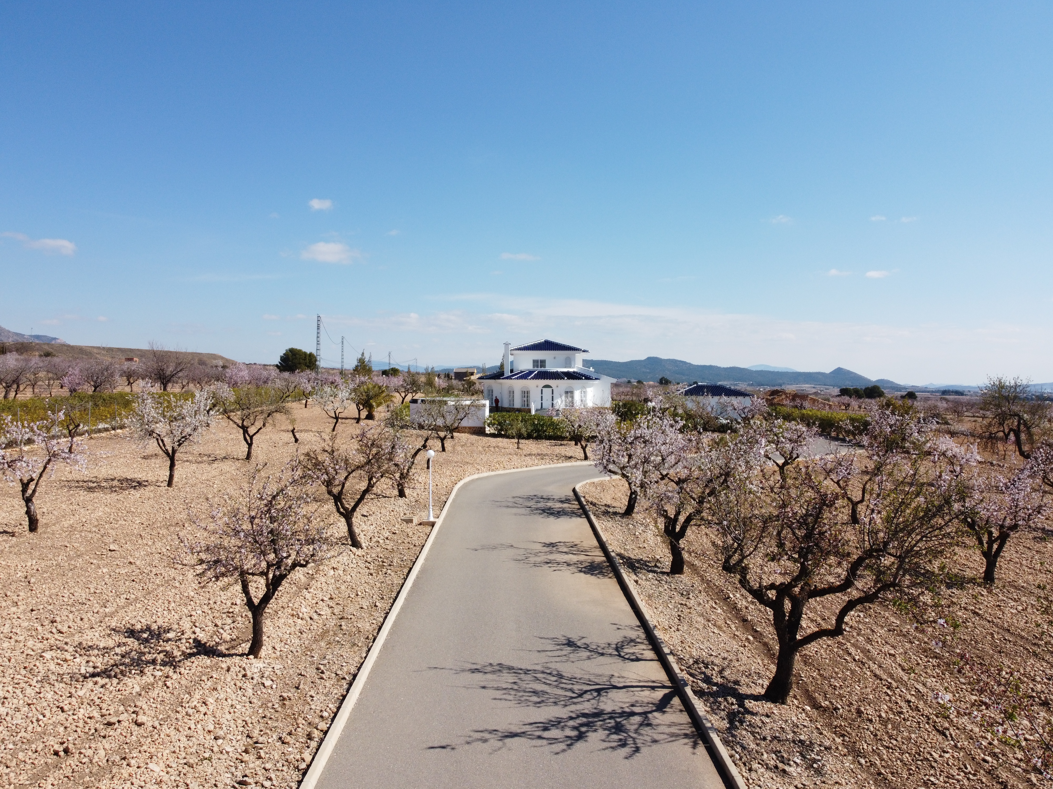 Villa in Lel - Image 3