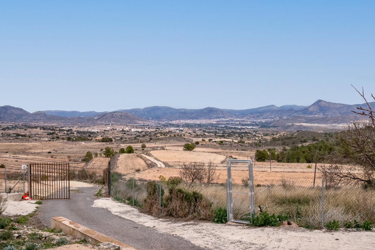 House in Monovar - Image 2