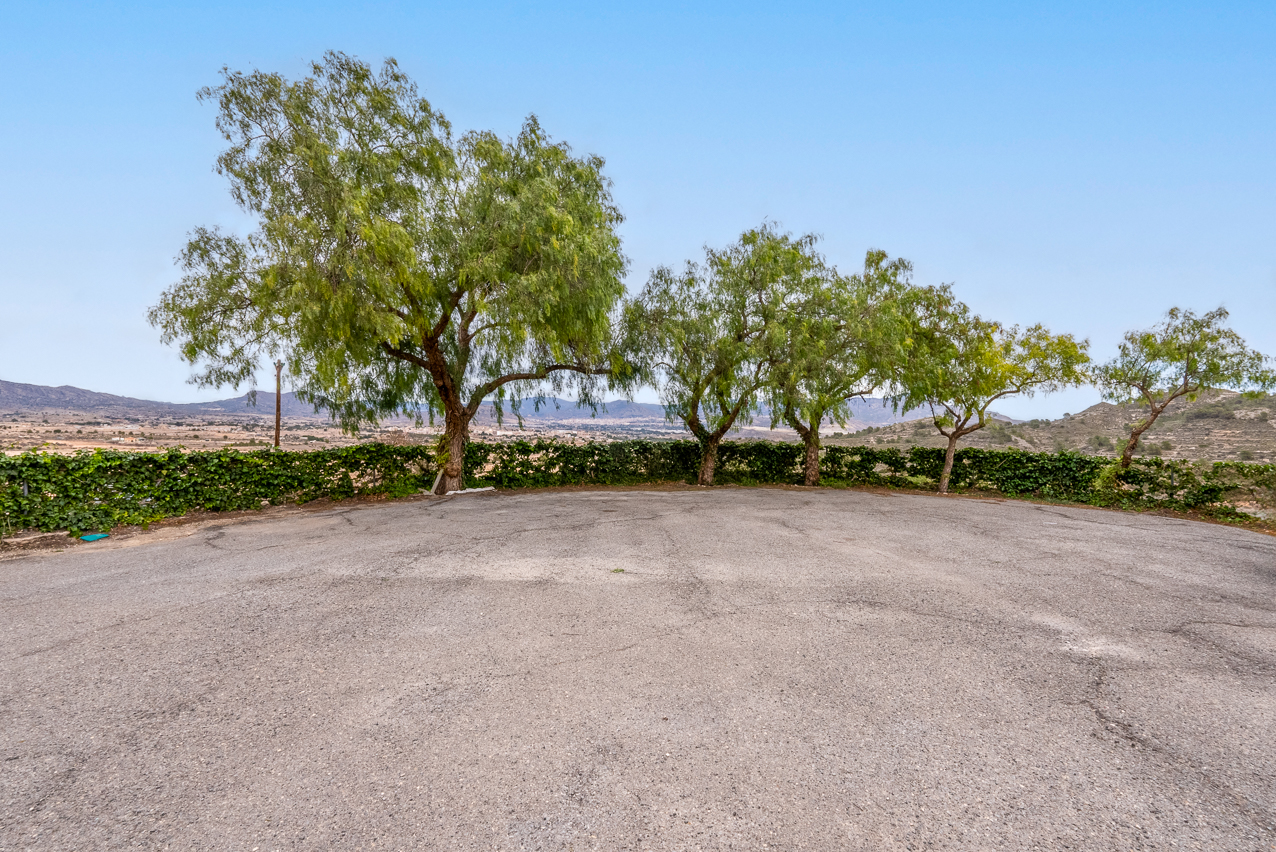 House in Monovar - Image 3