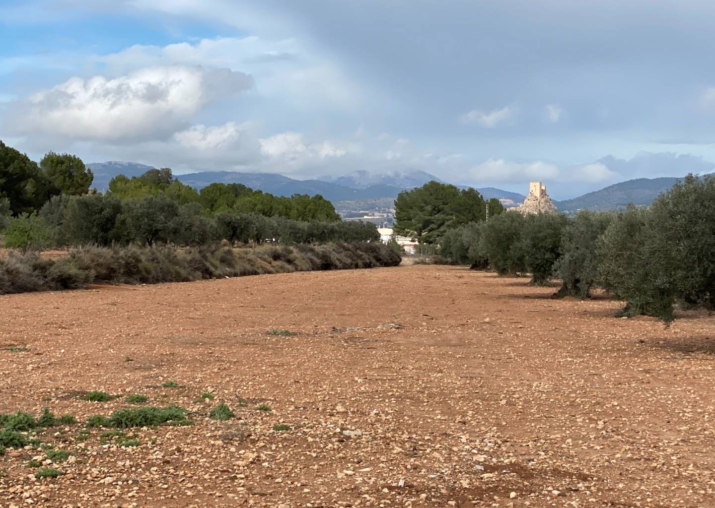 House in El Toyo - Image 2