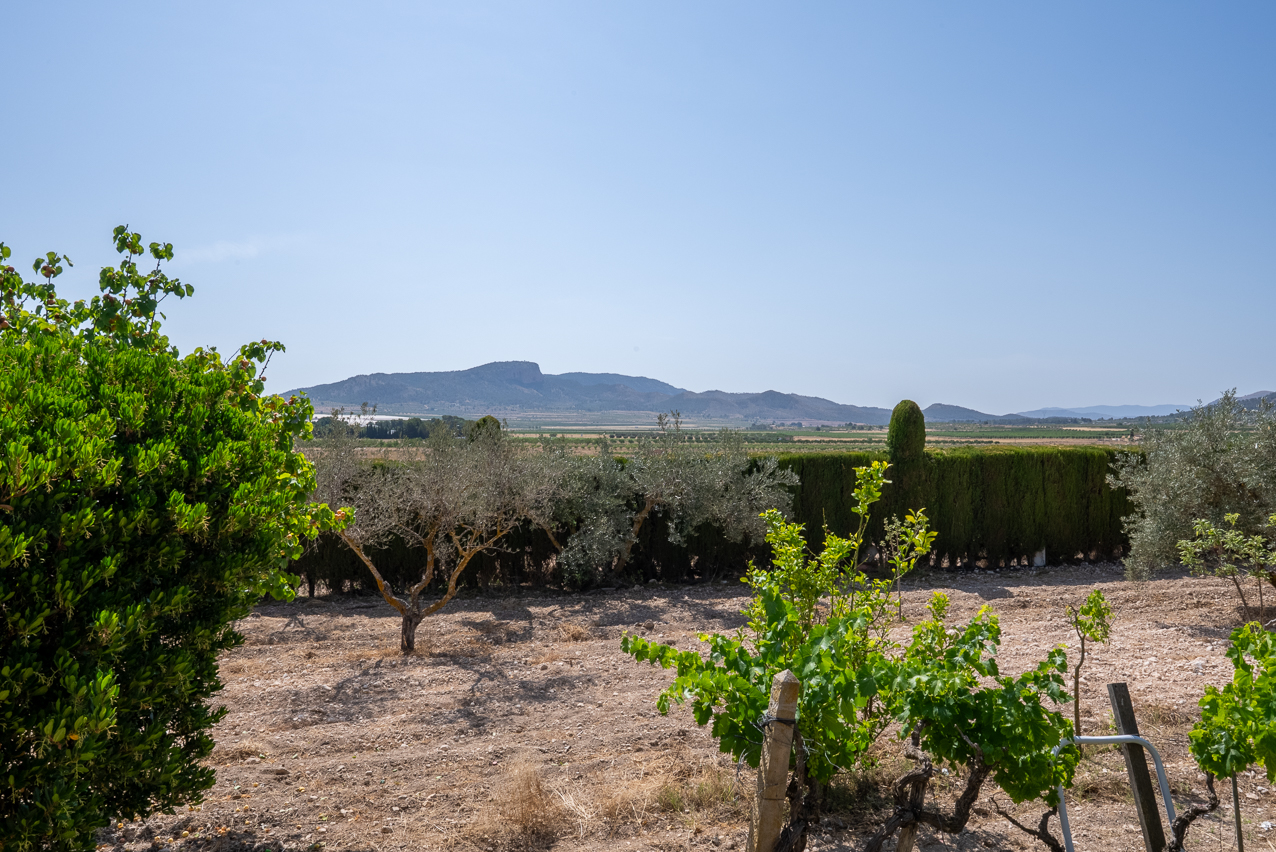 House in Manar - Image 5