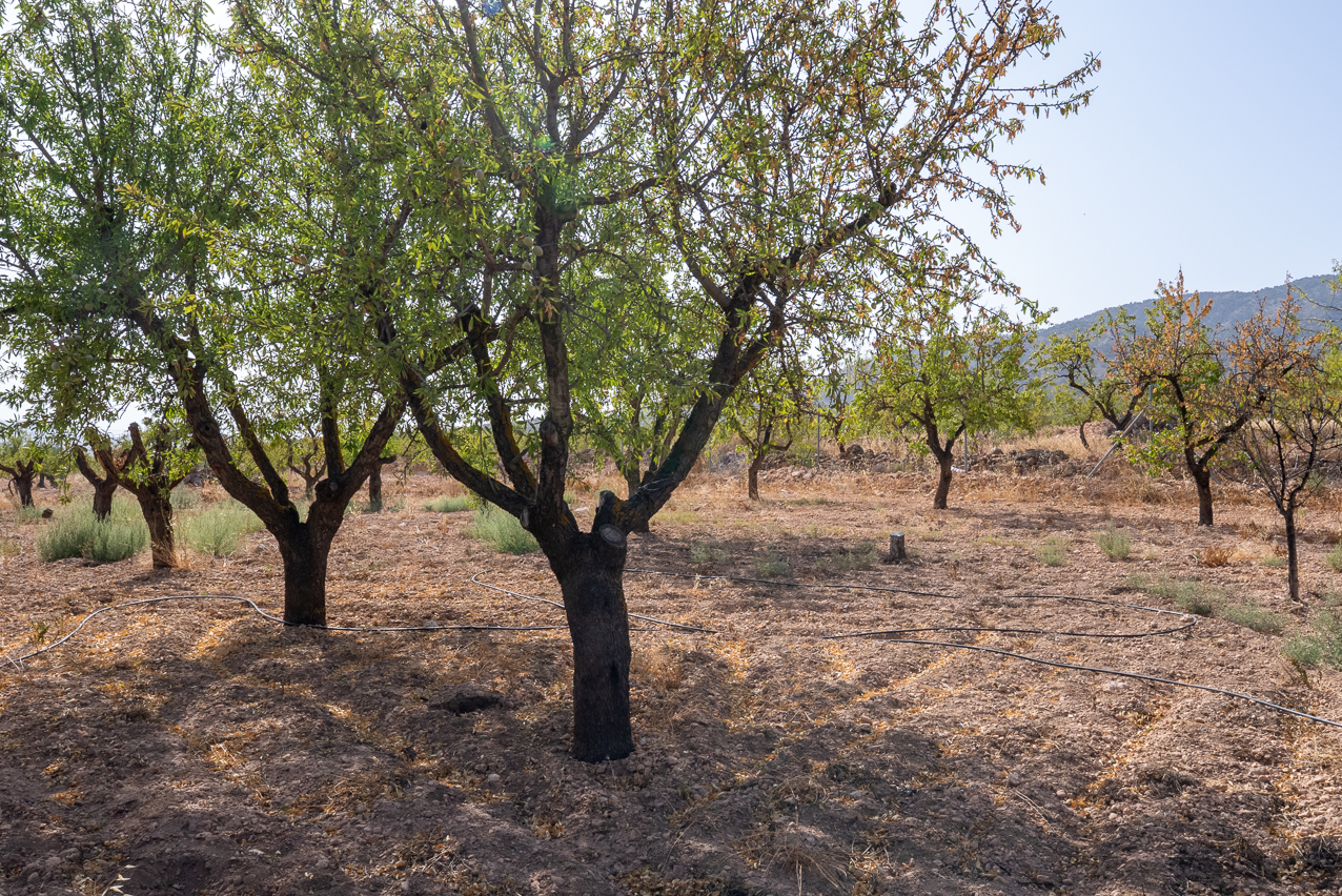 House in Lel - Image 4