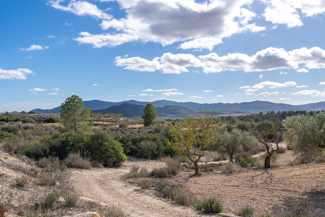 House in Canada Roja - Image 4