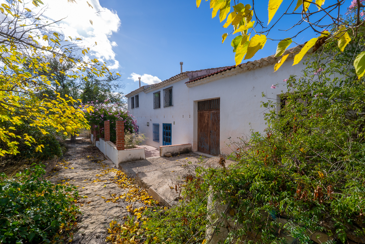 House in Canada Roja - Image 3