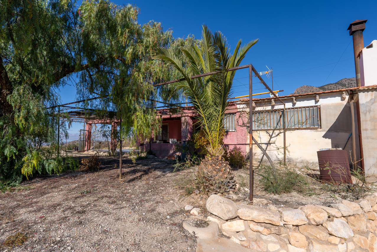 House in Jumilla - Image 3