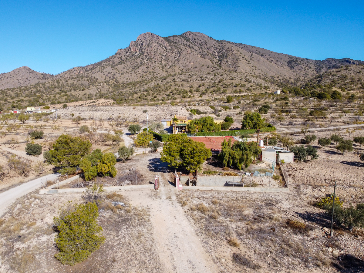 House in Jumilla - Image 2
