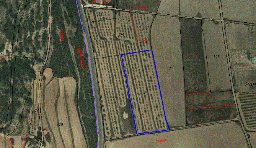 Land for sale in Salinas €26,000 (cf1726)