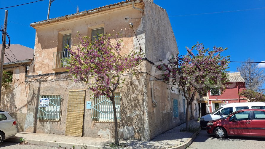 
              Large village house, Bodega and Plot
      