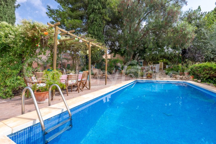 Maison de Campagne - Pinoso