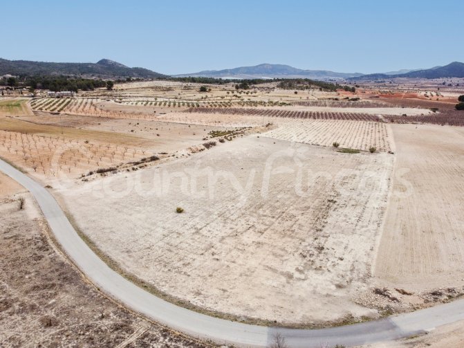 
              Building Plot near Pinoso
      