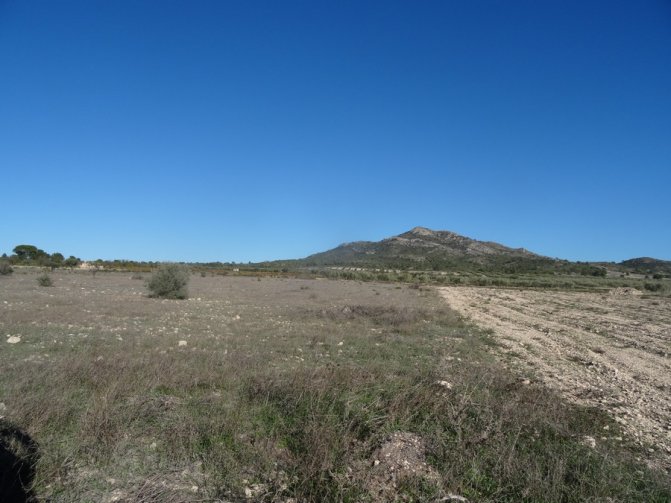 Land for sale in Salinas €37,000 (CF1287)