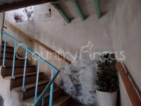 Large village house, Bodega and Plot