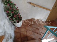 Large village house, Bodega and Plot