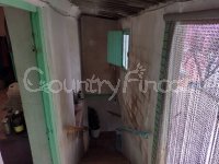 Large village house, Bodega and Plot