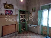 Large village house, Bodega and Plot