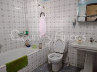 Large village house, Bodega and Plot