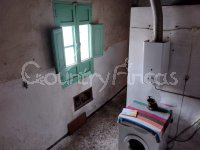 Large village house, Bodega and Plot