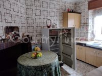 Large village house, Bodega and Plot