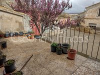 Large village house, Bodega and Plot