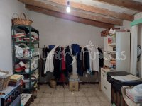 Large village house, Bodega and Plot