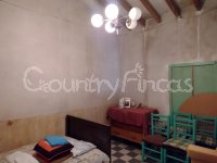 Large village house, Bodega and Plot