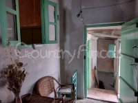 Large village house, Bodega and Plot