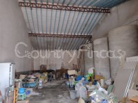 Large village house, Bodega and Plot