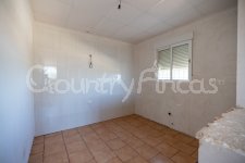 Huge building land with warehouse