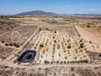 Huge building land with warehouse