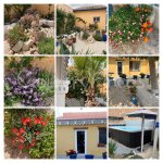 Beautiful Traditional Town House w/ Garden and Casita