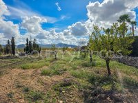 Country House to Renovate