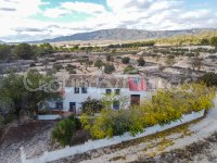 Country House in Monovar