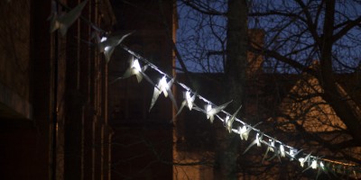 Luminous Birds