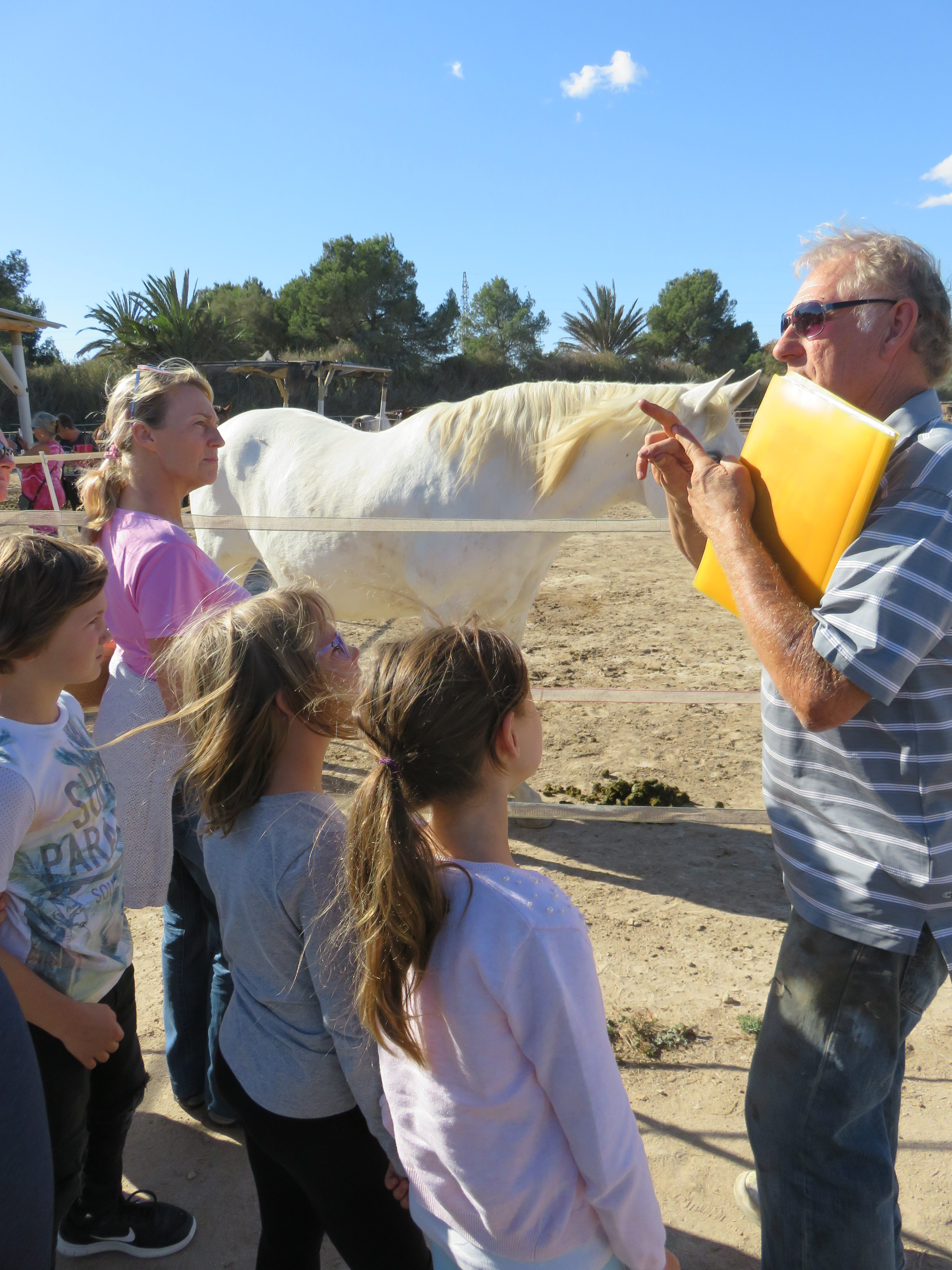 Easy Horse Care Rescue Centre Rojales Gran Alacant Advertiser