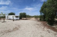 Plot in Elche (1)