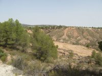 Plot in Murcia (1)