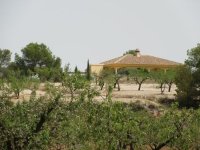 Plot in Murcia (8)