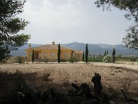 Plot in Murcia (11)