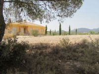 Plot in Murcia (24)