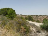 Plot in Murcia (27)