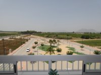 Apartment in Algorfa (7)