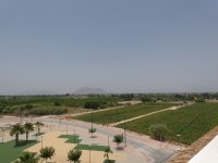 Apartment in Algorfa (20)