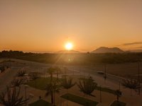 Apartment in Algorfa (1)