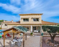 Villa in Algorfa (39)