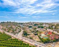 Villa in Algorfa (42)