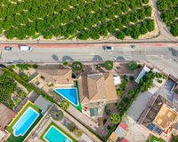 Villa in Algorfa (44)